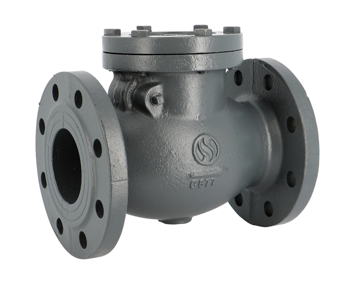 Cast iron swing check valve 362 EPDM seat DN40